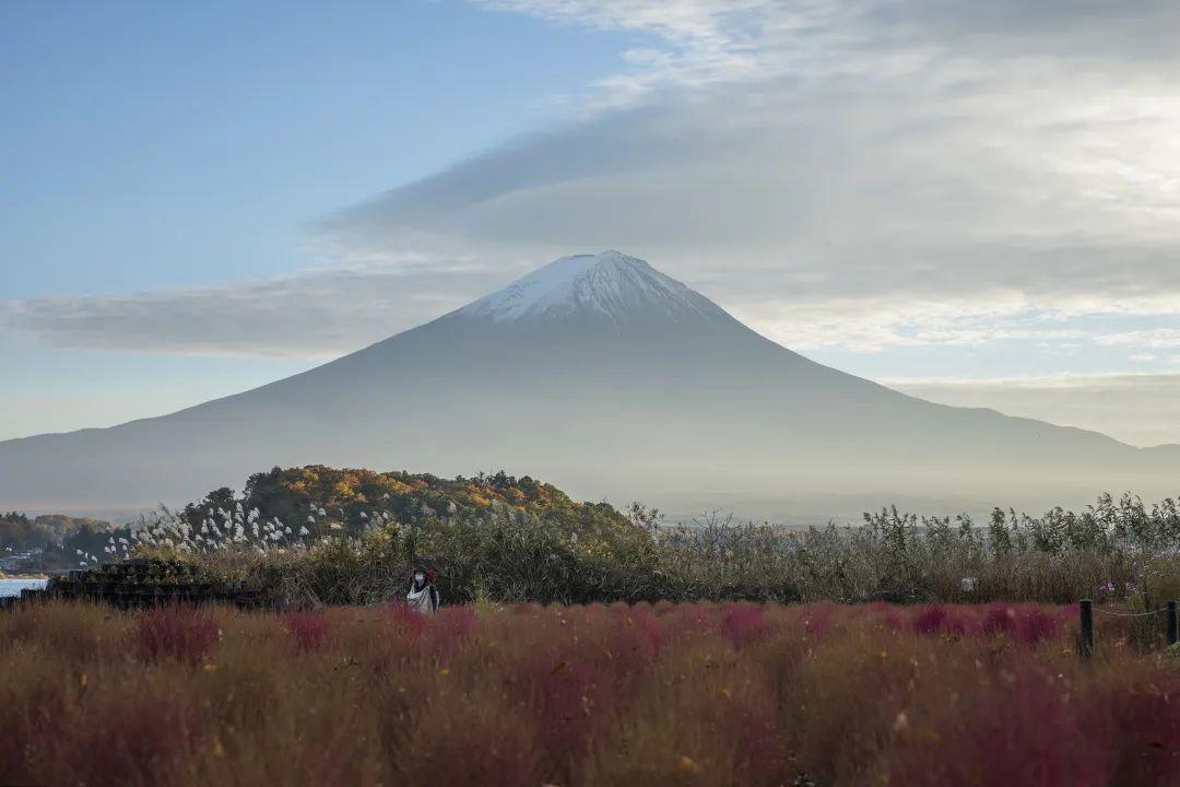 富士山直播下载之旅，探索与体验